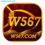W567 Game