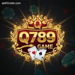 Q789 Game