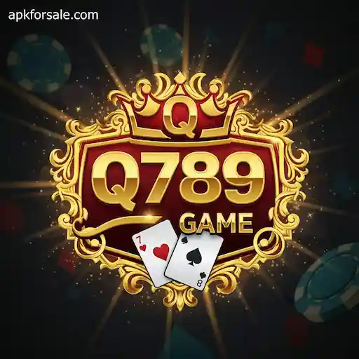 Q789 Game