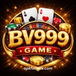 BV999 Game
