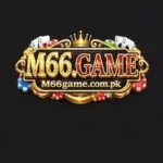 M66 Game